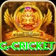 1st inning betting cricket Plus Edition v3.9.3
