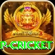 2022 world cup cricket Games (Casino & Earning) VIP v5.9.0