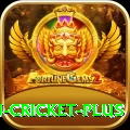 afghanistan cricket VIP Slots