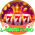 all cricket Mega New