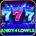 andy flower Turbo v2.5.2