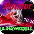 antigua hawksbill Games (Casino & Earning) Turbo v1.7.0
