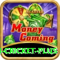 australian cricket Live Casino Mega