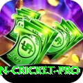 australian cricket King v5.9.1