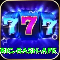 bbl big bash apk Apps (Tools & Injectors) Plus v2.8.2