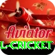 bbl cricket Elite v3.7.7