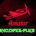 bingopkr Apps (Tools & Injectors) Turbo v2.5.7