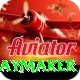 cam playmaker Plus v1.0.6
