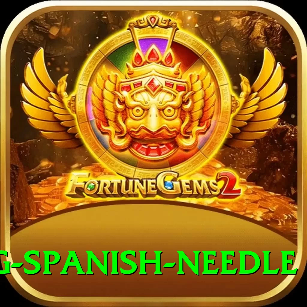 canyoning spanish needle Plus v1.4.7 - 2