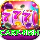 carp fish Turbo Pro v3.5.1