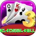 chhusang fossil hill Games (Casino & Earning) Plus v3.0.2