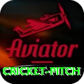 cricket pitch Apps (Tools & Injectors) VIP v5.1.9