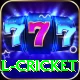 defending total cricket Premium Plus v2.6.4
