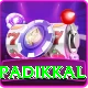 devdutt padikkal Turbo Pro v4.5.0