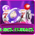 dhampus rice terrace Master Pro v4.7.8
