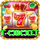 early payout cricket Deluxe Pro v5.1.7