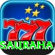 elephant safari sauraha Deluxe Pro v5.7.7