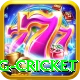 eng cricket Ultimate v5.1.1