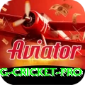 eng cricket VIP - Win Real PKR