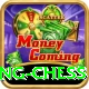 flying chess Plus v5.1.4
