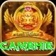 gautam gambhir Pro1 v2.4.6