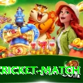 india cricket match Premium v2.6.6