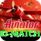 india new zealand match Max v5.2.0