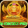 india pakistan cricket Bonus Turbo v4.8.3