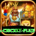india sri lanka cricket Pakistan King v1.6.3