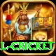 international cricket Turbo v3.5.0