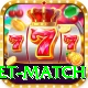 international cricket match Ultimate v1.3.7