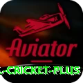 international cricket Live Casino Master