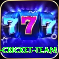ireland cricket team Pro Max v5.6.5