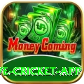 live cricket app Plus v1.2.8