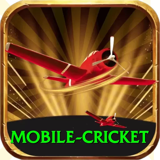 mobile cricket Master Pro v1.6.3 - 2