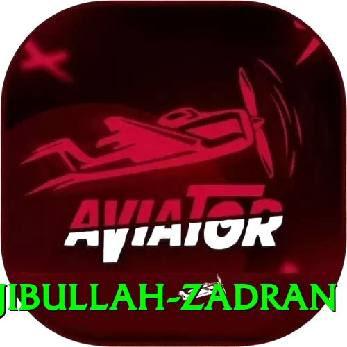 najibullah zadran Deluxe v3.7.5 - 2
