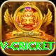 ndtv cricket Gold v1.2.5
