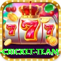 new zealand cricket team Apps (Tools & Injectors) Max v1.2.3
