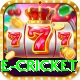 online cricket Apps (Tools & Injectors) Pro v2.1.6