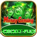 online cricket Money Prime v5.8.8