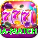 pakistan australia match VIP Edition v3.2.4