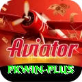 pkwin Gold Edition v5.1.4
