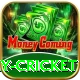 play cricket Premium Plus v3.0.3
