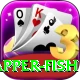 red snapper fish Pro1 v2.6.2