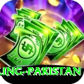 responsible gambling pakistan Deluxe Edition v3.8.9