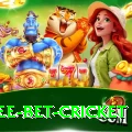 risk free bet cricket Apps (Tools & Injectors) Pro v3.4.1