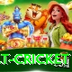 risk free bet cricket Apps (Tools & Injectors) Pro v3.4.1