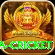 sa cricket Pro v4.6.4