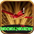 simbhanjyang rhododendron Games (Casino & Earning) Deluxe v1.4.3