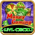 smartcric live cricket Games (Casino & Earning) Max v1.6.7